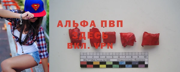 стаф Бронницы